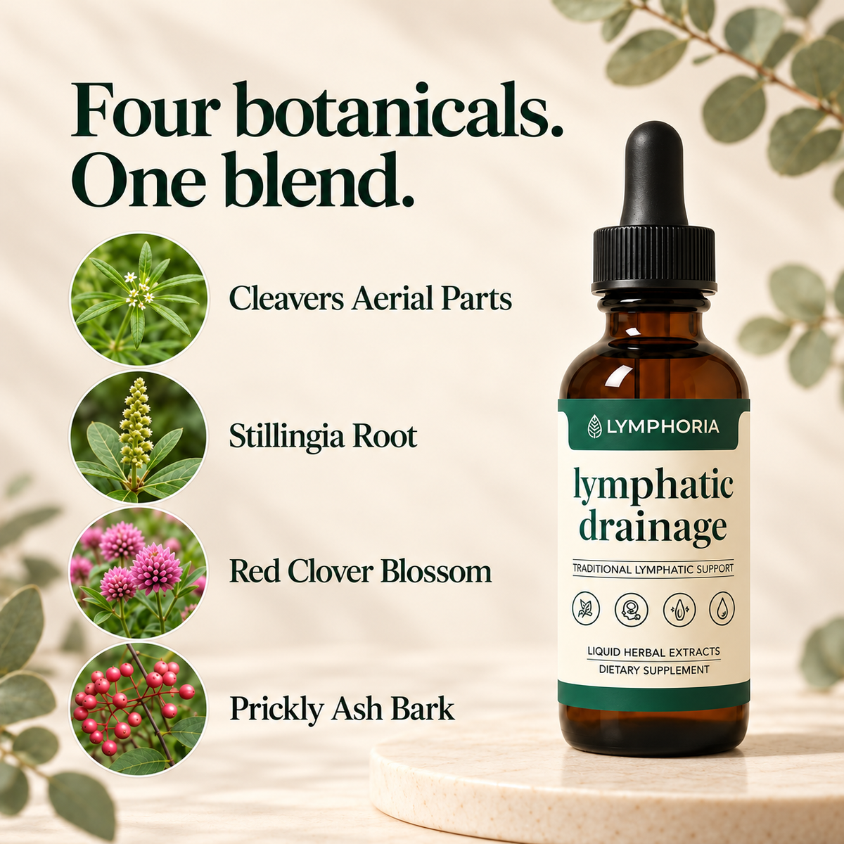 Lymphoria bottle and four botanicals, with generous spacing around the ingredient names